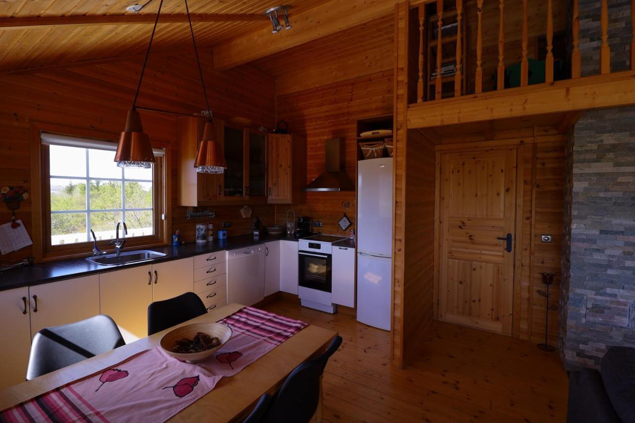 Golden Circle Vacation Home With Hot Tub & Fire Place Selfoss Dış mekan fotoğraf